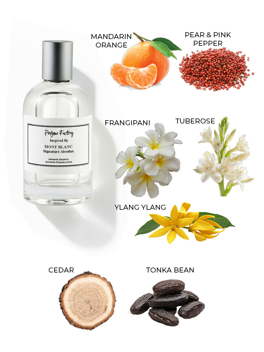 Mont Blanc Signature Absolue