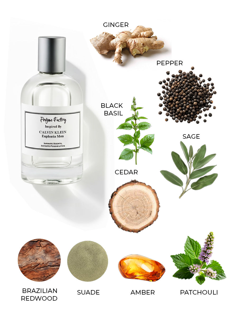 Calvin Klein Euphoria Men